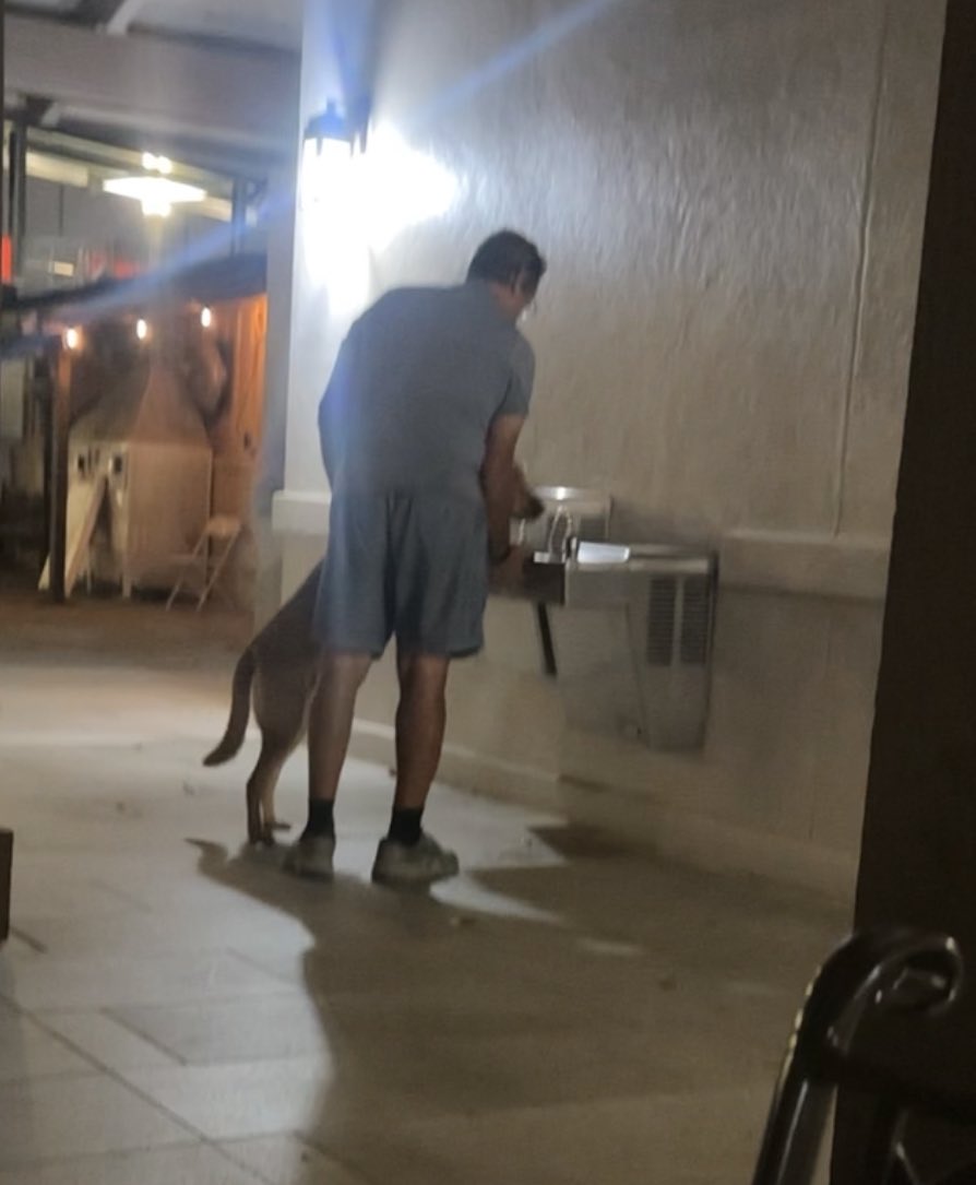 Clint Whitehead tweet media