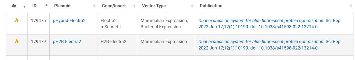 We are very happy to see another orange flame lit up for our Electra2 plasmids on Addgene! Btw these plasmids can be also requested for free from WeKwikGene wekwikgene.wllsb.edu.cn/publications/1…