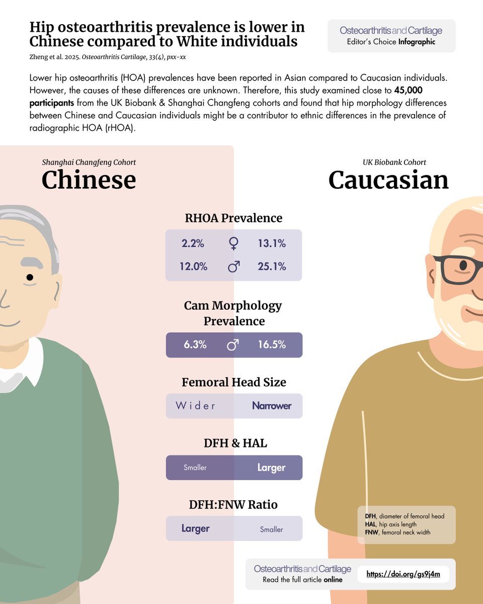 OACJournal's tweet image. ⏰ April's #EditorsChoice is out!

Read all about ethnic differences in hip osteoarthritis in this large UK Biobank X Shanghai Changfeng cohort study 👇👇👇👇

Open access from Zheng @JonTobias1 et al - oarsijournal.com/article/S1063-…

EICs: @ProfDavidHunter @AM_Malf