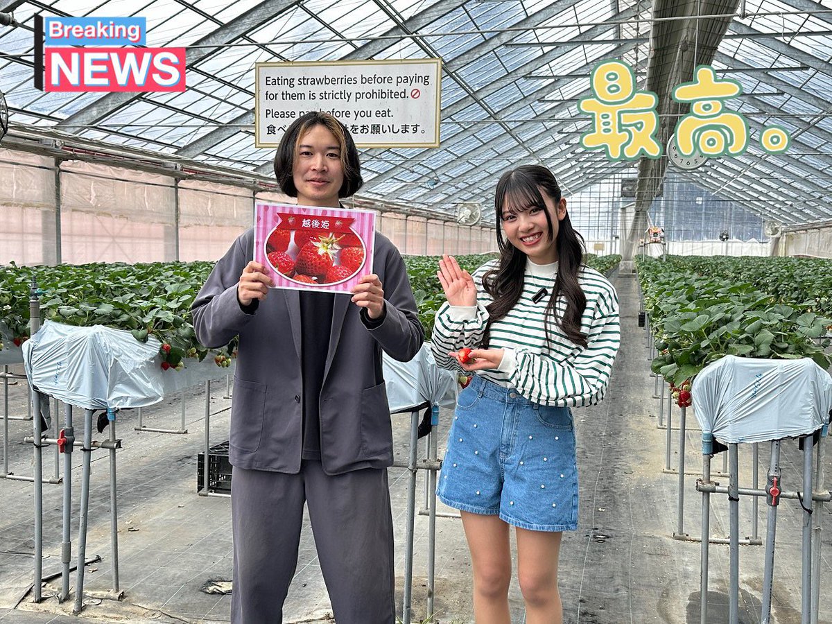 DreamKids_inc's tweet photo. #南魚沼 で大活躍中の地域インフルエンサー"ぬまめん"さんと #越後湯沢 のおすすめスポットをJKレポーター兵藤まいが紹介し尽くしちゃいます‼️
@maimai91619
#いちご村 #いちご狩り
#関興寺 #新潟県 #大地の芸術祭
#爆弾おにぎり #越後湯沢駅
#関農園 #FARMFRONT https://t.co/hWBIHFsA0U