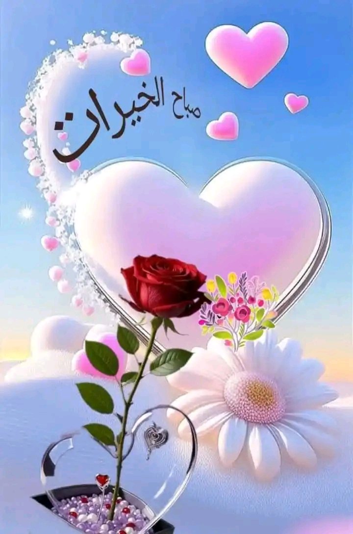 صــــباح الحــــياة٠٠
وحــــــب الحـــــياة٠٠
وأشخاص يعادلون كل الحــــــياة٠٠
صـــباح الألفة والصحــــبة الوردية٠٠
والسرور والزهور وألوانها وعطورها الجميلة٠٠
صــــباح الخــــــير لأهل الخــــــير٠٠
#صباحكم   رضا وراحة بال٠٠
صباحكم معطر مفتح مزهر ياعطر الورد

  #افنان