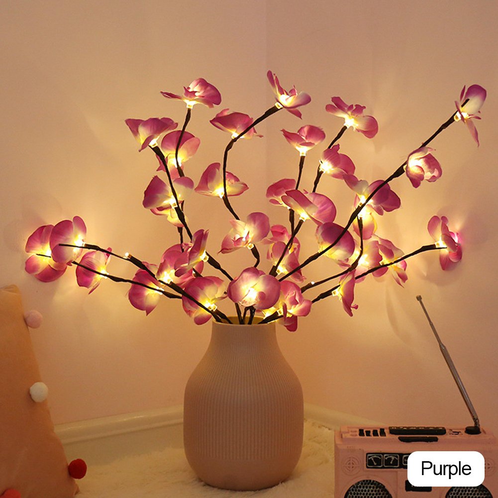 DreamyHomeStyle's tweet image. 20 LED String Light Butterfly Orchid Branch Garland

dreamyhomestyles.store/20-led-string-…

dreamyhomestyles.store

#LEDStringLights #ButterflyLights #OrchidGarland #FairyLights #GardenDecor #OutdoorLighting #HomeDecor #FairyTaleVibes #PartyLights #CreativeLighting