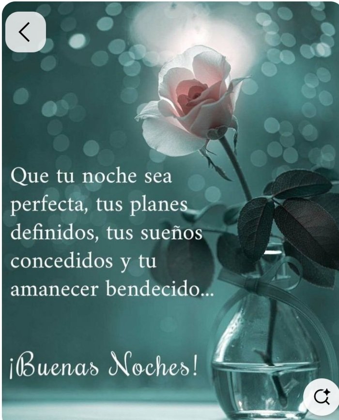 Bonita noche llena de paz y felicidad, hasta mañana!!✨🙏