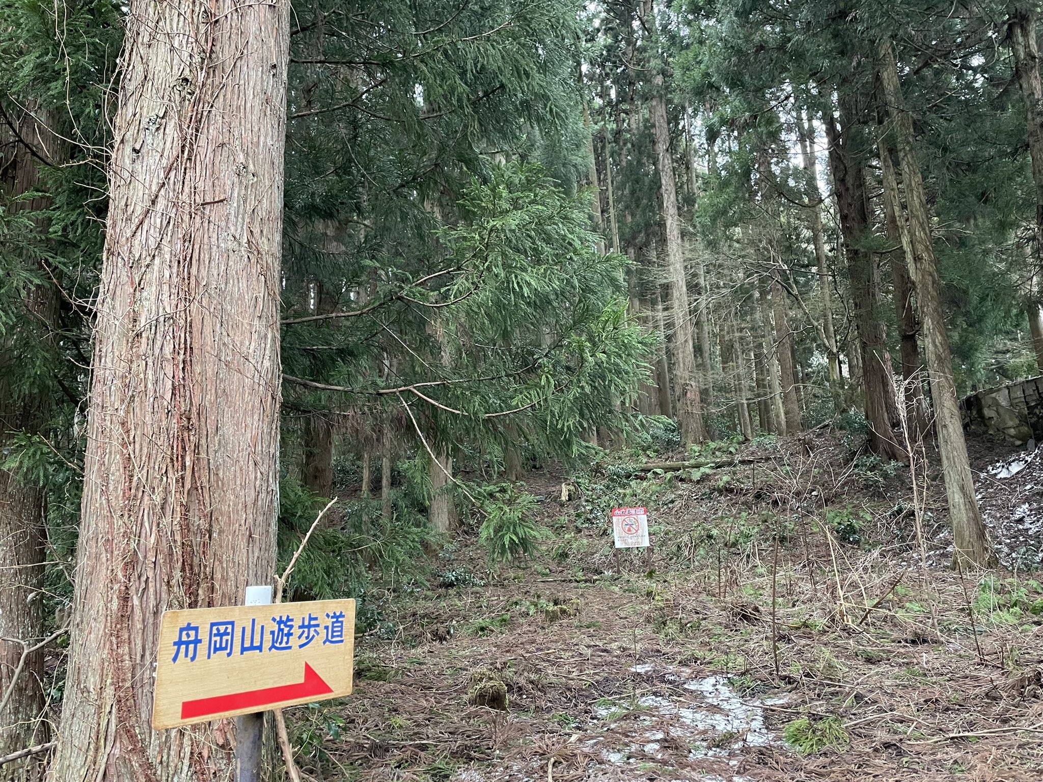 超貴重⭐︎葉月シモン 時越峠 Yukky☆鈿琴 on X: 