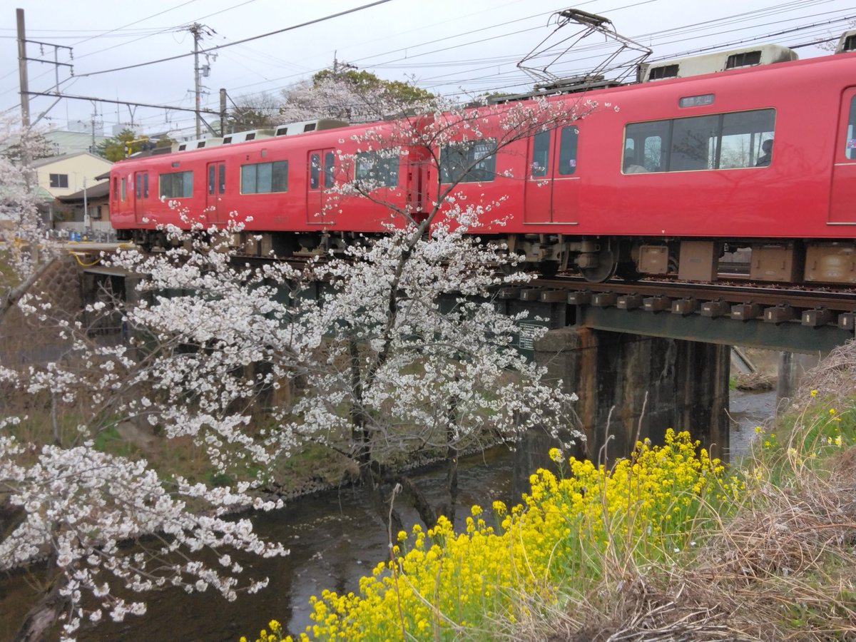 Sto1Xi's tweet photo. 各務ヶ原市新境川堤の百十郎桜。中井精也さんの���うには撮れません。 https://t.co/opqyqAiEcV