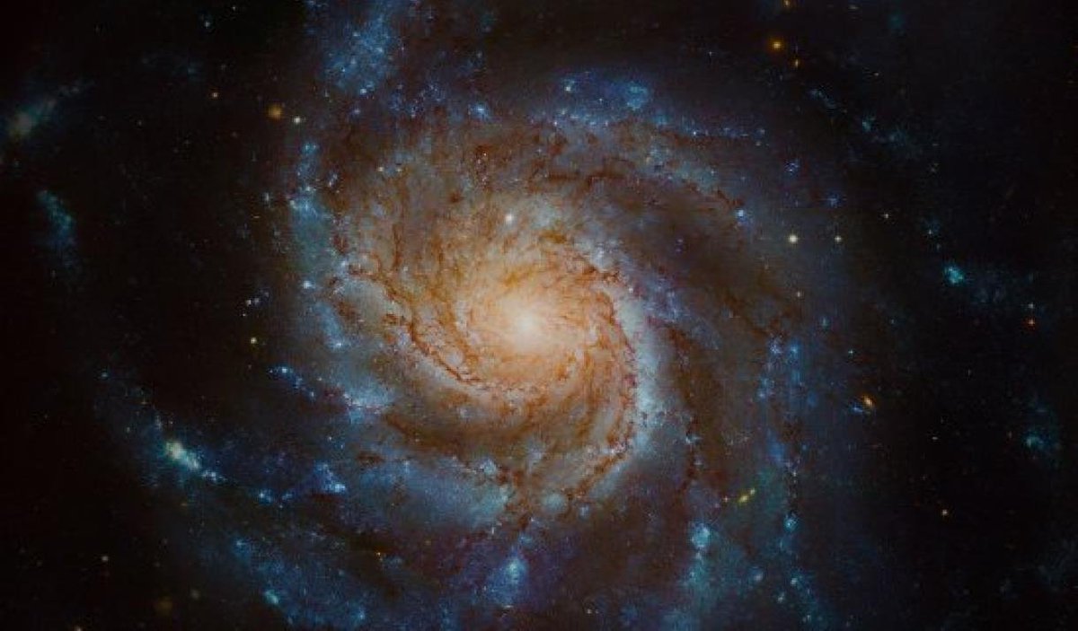 🌌Discover the universe within <a href="/MediaMuseum/">National Science and Media Museum</a>'s 'You:Matter' exhibition from 3rd April. See how we continue the universe's story with every breath as part of the #Bradford2025 celebrations.

 visitbradford.com/whats-on/you-m…