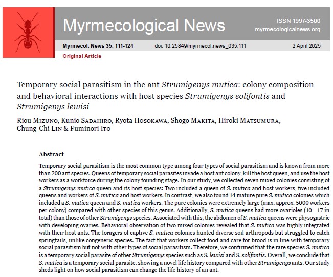 🆕Original Article: Temporary social parasitism in the ant 𝑆𝑡𝑟𝑢𝑚𝑖𝑔𝑒𝑛𝑦𝑠 𝑚𝑢𝑡𝑖𝑐𝑎: colony composition and behavioral interactions with host species 𝑆𝑡𝑟𝑢𝑚𝑖𝑔𝑒𝑛𝑦𝑠 𝑠𝑜𝑙𝑖𝑓𝑜𝑛𝑡𝑖𝑠 and 𝑆𝑡𝑟𝑢𝑚𝑖𝑔𝑒𝑛𝑦𝑠 𝑙𝑒𝑤𝑖𝑠𝑖. 
Mizuno, R. et 𝑎𝑙.