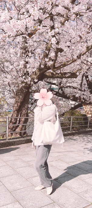 花見#ぬいレヴィ 
