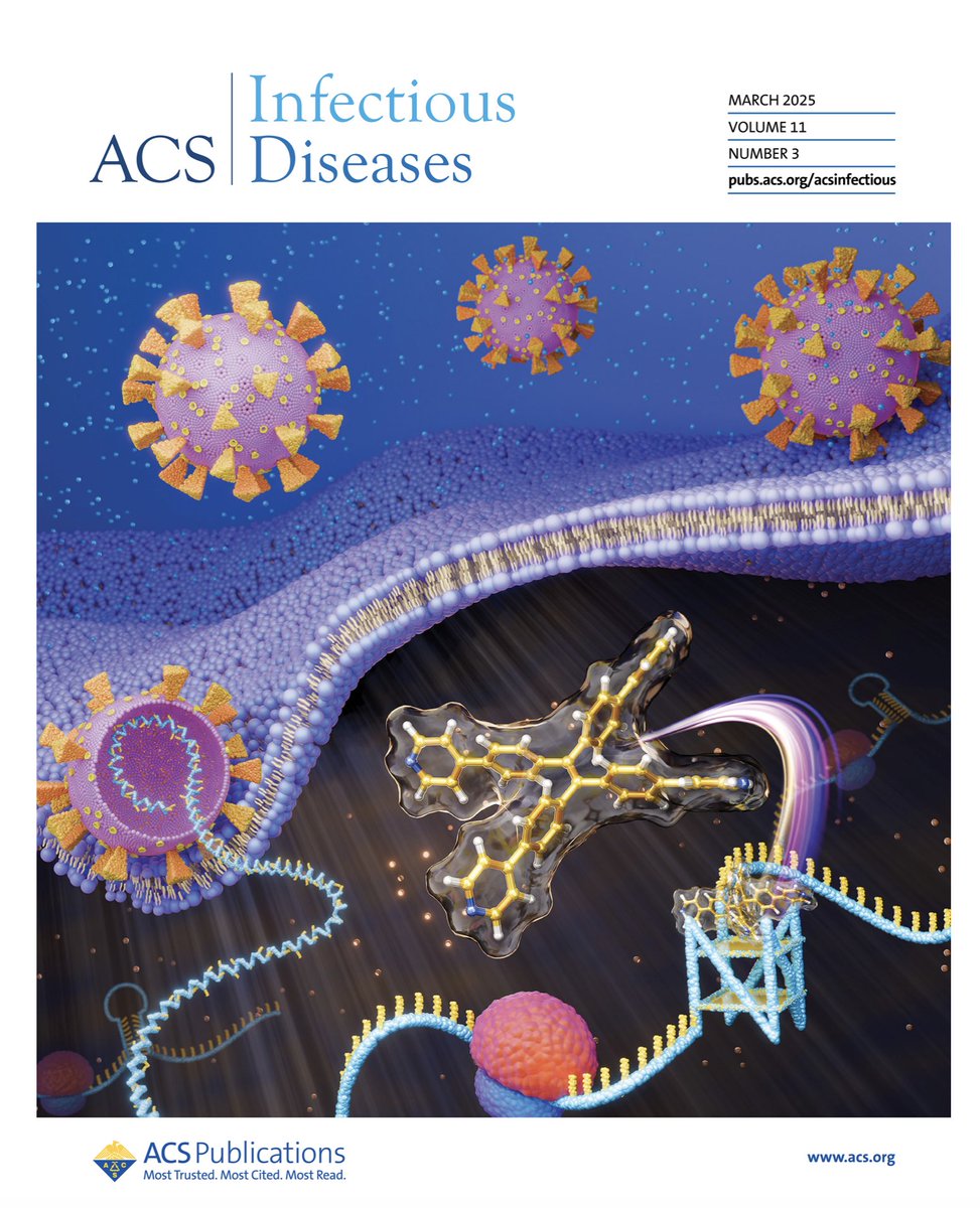 Ambadas Rode (@ambadasrode) on Twitter photo Lab publication treat! š„³ TPE derivatives stabilize SARS-CoV-2 RNA G4, disrupting replication. Promising COVID-19 therapy! Huge thanks to our collaborators Profs. Vrati, Surjit, & Bhosale. Congrats to <a href="/PayalGu17749755/">Payal Gupta</a> & <a href="/rushi_khadake/">Rushi Khadake</a>. Featured on ACSinfectDis cover. Lab publication treat! š„³ TPE derivatives stabilize SARS-CoV-2 RNA G4, disrupting replication. Promising COVID-19 therapy! Huge thanks to our collaborators Profs. Vrati, Surjit, & Bhosale. Congrats to <a href="/PayalGu17749755/">Payal Gupta</a> & <a href="/rushi_khadake/">Rushi Khadake</a>. Featured on ACSinfectDis cover.