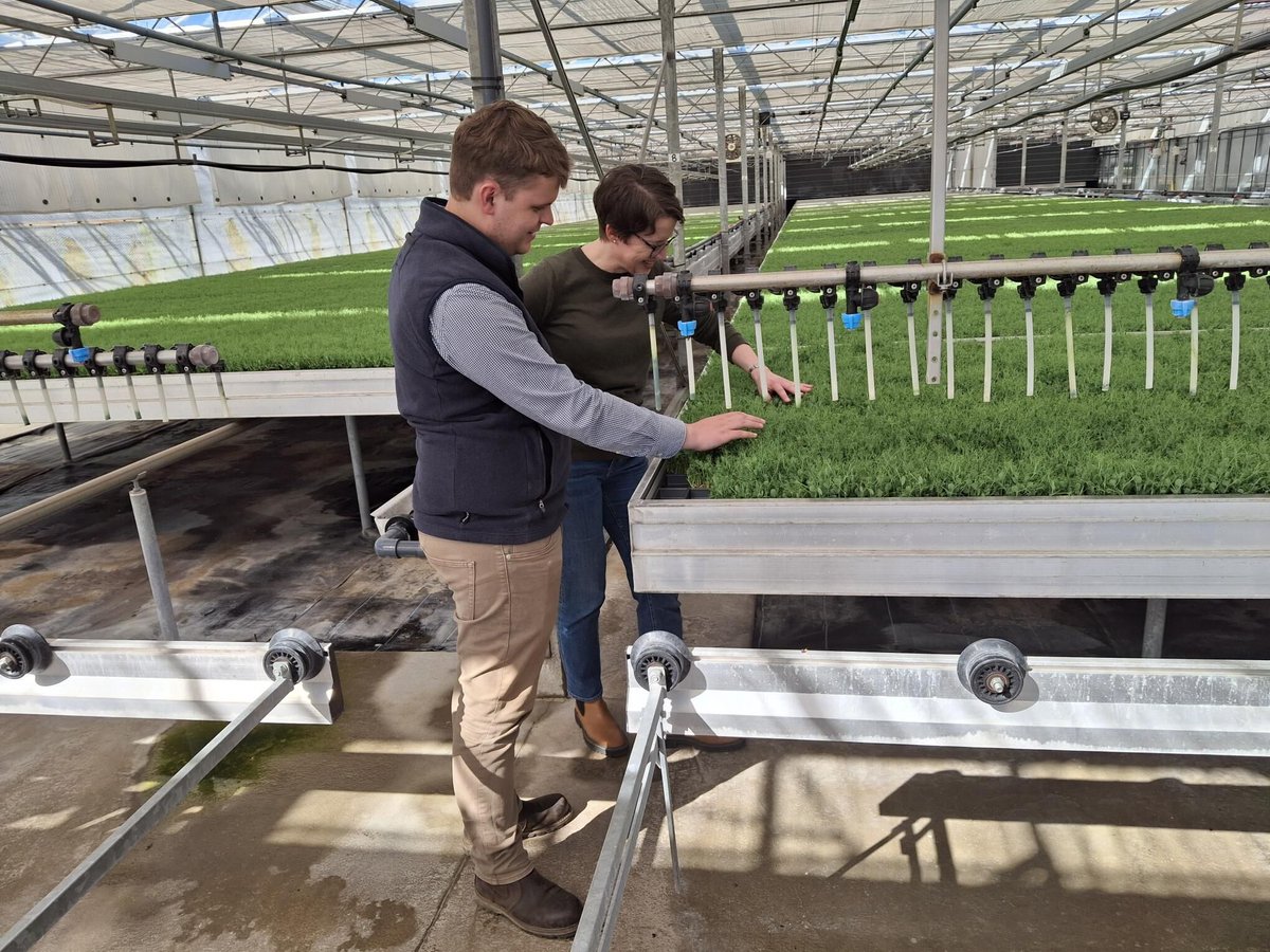 Northern sales manager Douglas Bonn has been touring his area this week, yesterday he visited Cheshire with George Hall, and was particularly impressed by his customers pea operation!