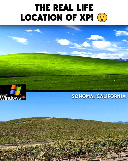 OrigamiPROone's tweet photo. The Secret of Windows XP!
#xp #secret https://t.co/qDwGY36t4Q