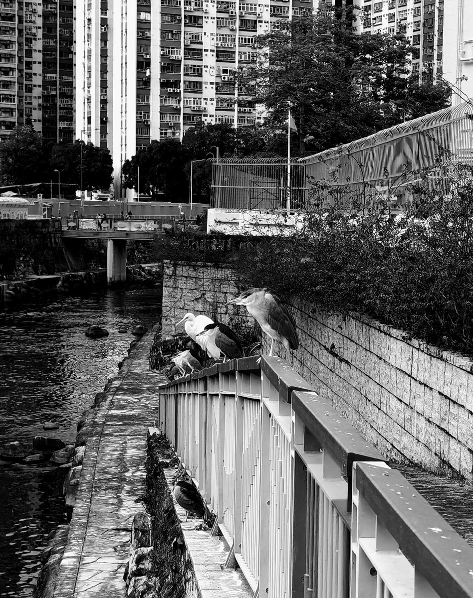 "But why did I make that choice? That's what I wonder about. Because I am me, is the answer. But that just postpones the question. Why am I me?

Chance, that's why. Because of the cocktail of genetics and upbringing fixed for me by the blind barman Chance."

- David Mitchell