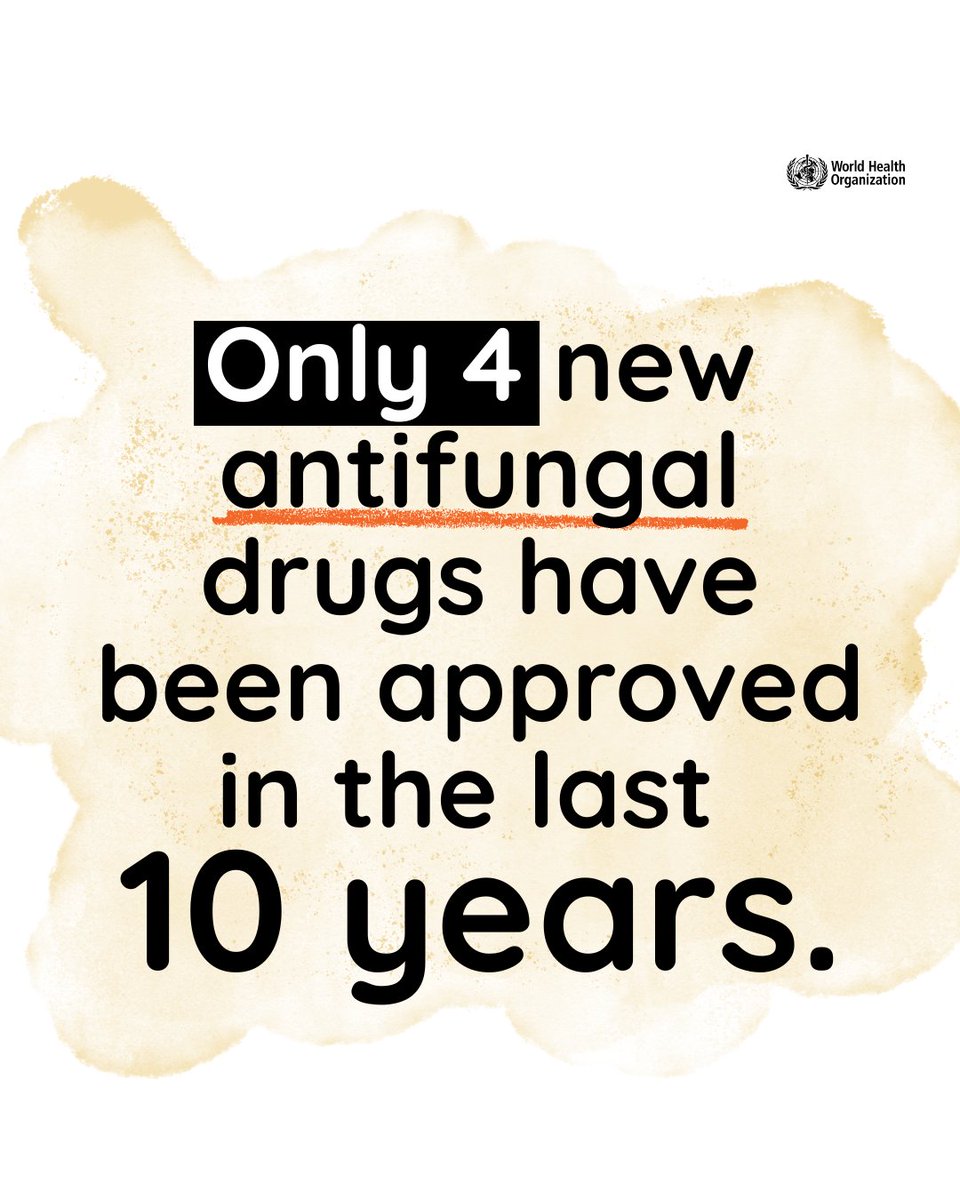 WHO's tweet image. Severe fungal infections are becoming resistant to older drugs, making them harder to treat. Innovative antifungal drugs are essential to saving lives. It’s more than just being new – it's about updating medicines to keep up with how fungi are changing.

WHO’s new report…
