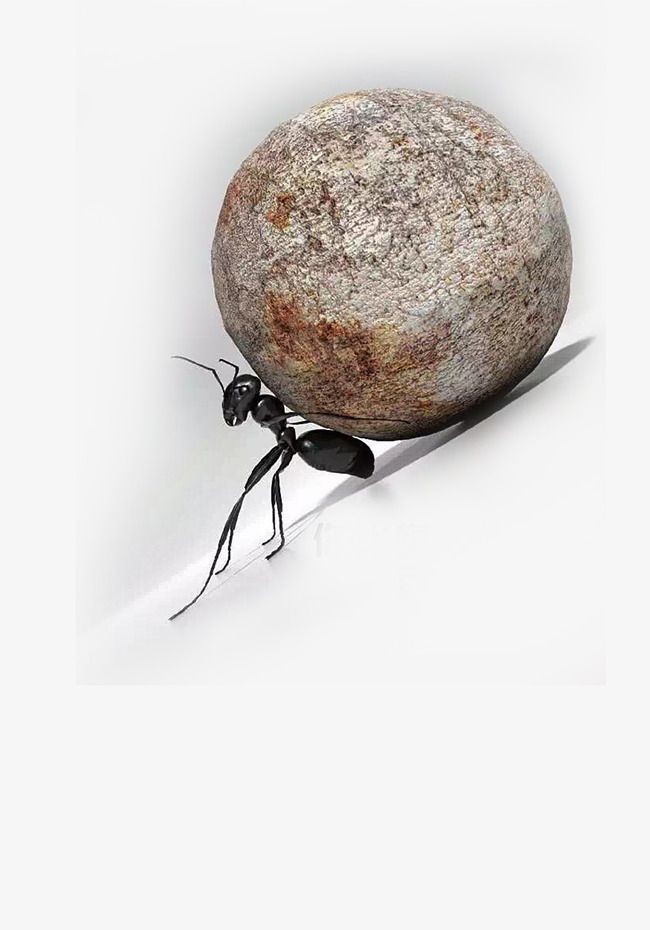 Are you the ant?