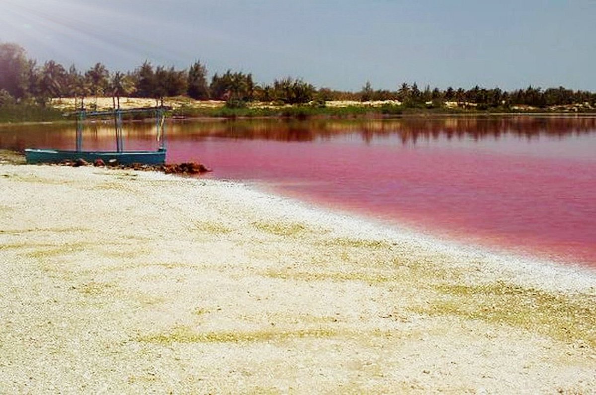 senecoattitude's tweet photo. 🇸🇳🦩Le retour de la couleur rose du lac après deux ans de perturbation prouve que la nature sait se régénérer.🏞️ Cependant, pour éviter de futures dégradations, une CHARTE de PROTECTION et une TAXE ENVIRONNEMENTALE sont nécessaires #lacrose #senegal 🇸🇳 https://t.co/0qnXBruA7L