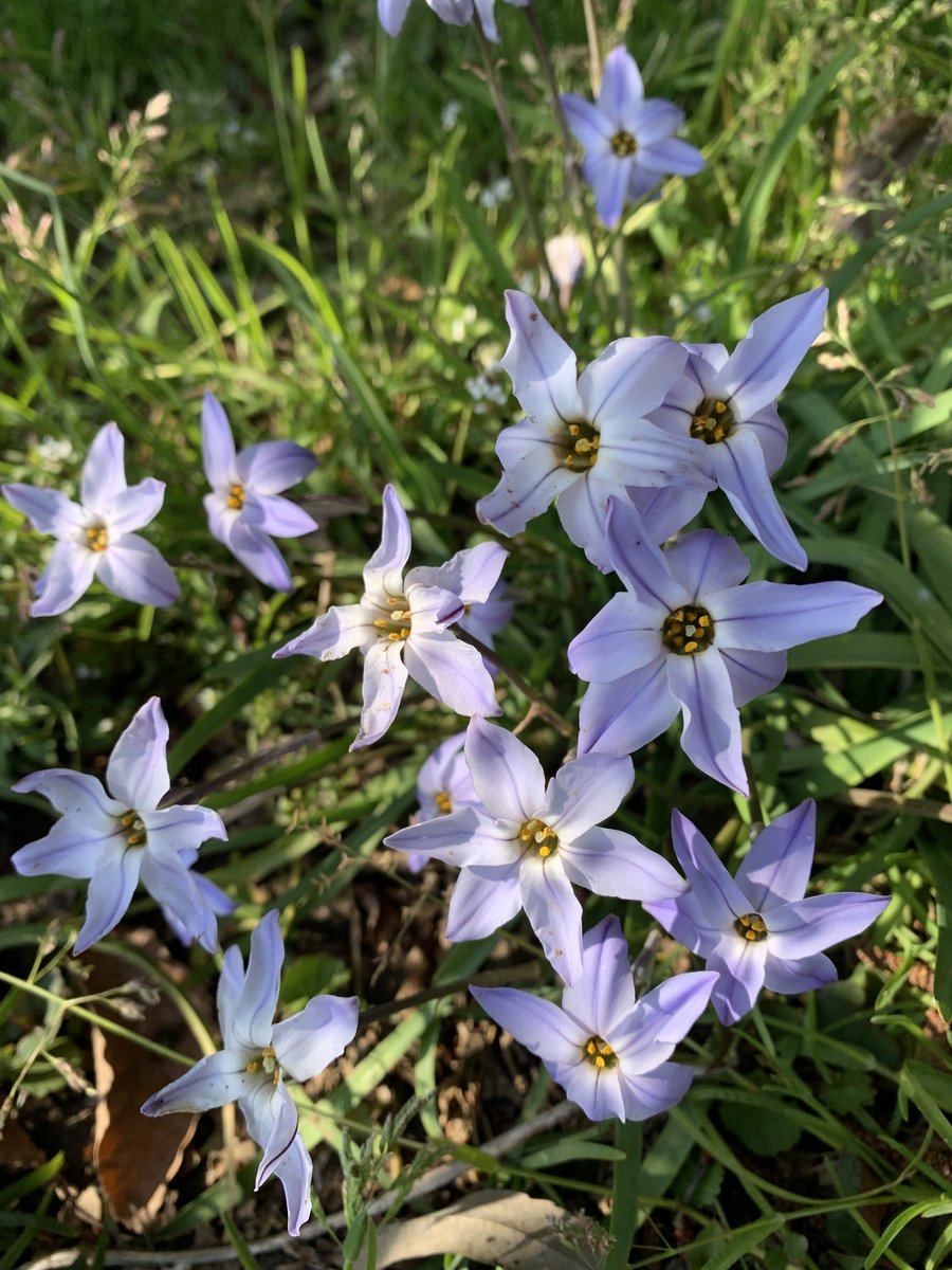 Green22229Pool's tweet image. Success and failure are integral to personal growth; success fosters confidence &amp;amp; skills, whereas failure imparts valuable lessons and nurtures empathy. Embracing both outcomes and persevering through failure are essential for attaining significant success &amp;amp; personal development.