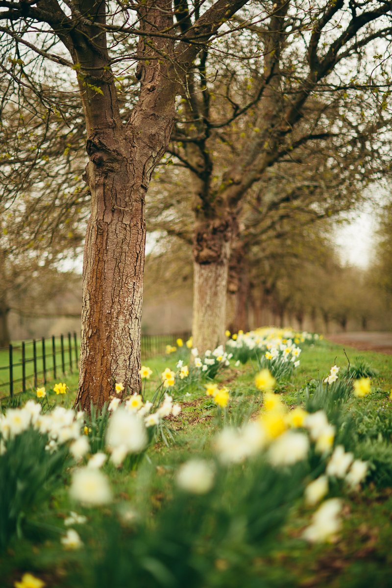 Wishing you and your loved ones a wonderful Easter filled with love, laughter and chocolate! 🐣🌷🍫❤️