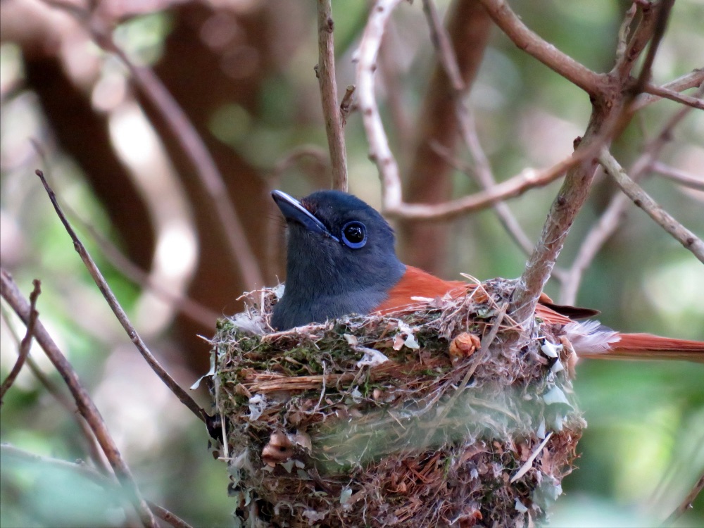 I 💛 Darling Newsletter - mailchi.mp/e42220734d76/i…

Click on Facebook Page Newsletter tab to subscribe to this weekly newsletter.

PHOTO:  Nicole Rothman