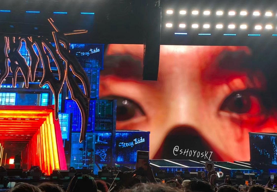 the bug han jisung