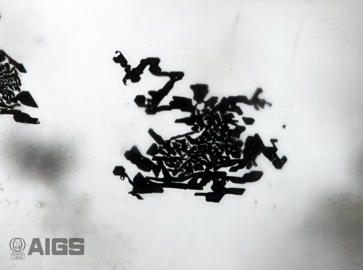 AIGSthailand's tweet image. Nature’s Tiny Masterpiece ✨ 
Black mineral platelets of ilmenite captured within a natural aquamarine, revealing the mesmerizing world of inclusions.
 #Beryl #Aquamarine #Inclusions #Platelets #Black #Ilmenite #AIGS #InclusionsInBeryl #Gemstones