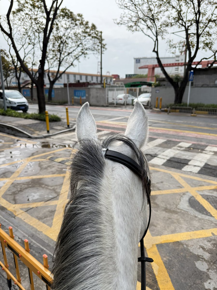 没有什么新鲜事