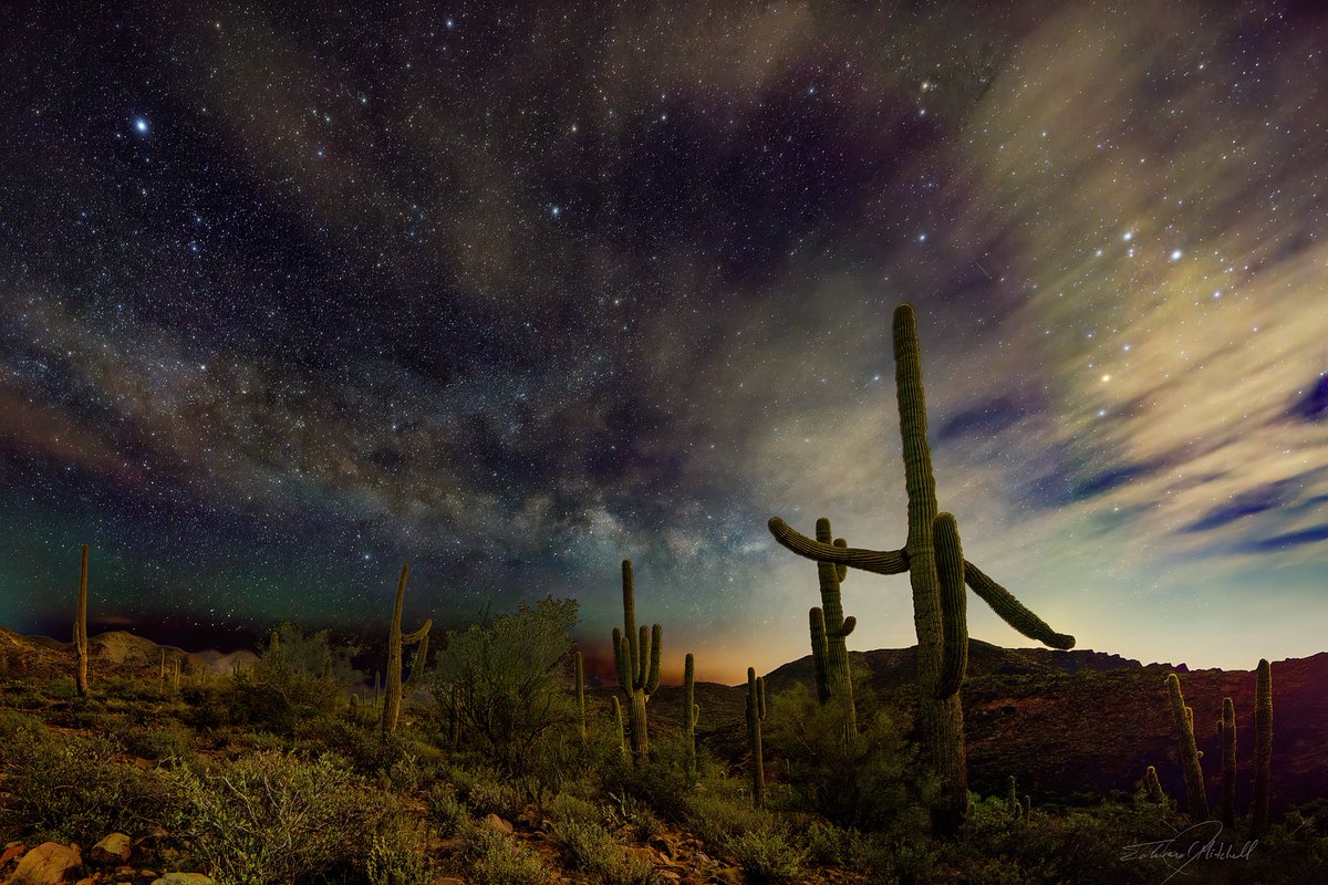 Shorebound1336's tweet photo. This saguaro seems to be making a break for it, dashing away from the swirling galaxies as if the universe itself just gave it a fright!#MilkyWay #Astrophotography #StackedImages #NightSky #SonyA7RIV #14mm #DesertStars #ArizonaNights #NewRiverMountains #LightPollution #DeepSky https://t.co/SPvupQKXqK
