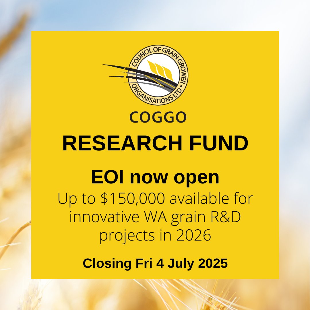 #COGGO is offering grants of up to $150,000 for innovative R&amp;D projects commencing in 2026, targeting any part of the WA grain supply chain &amp; returns benefit to WA grain growers.

Further info &amp; EOI applications for prospective 2026 projects 👉 giwa.org.au/industry-proje…