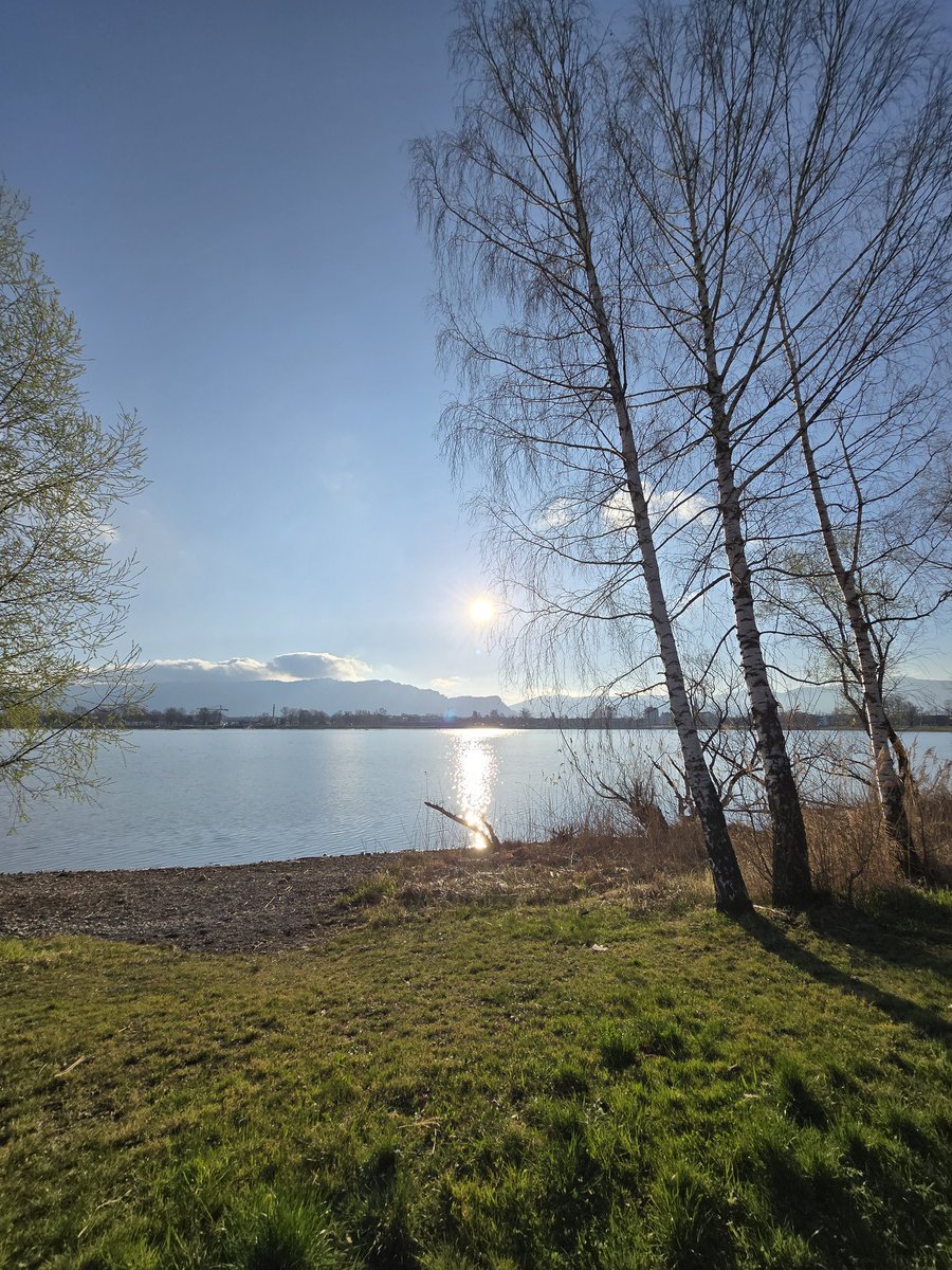 Vagish Dixit (@vagish_dixit) on Twitter photo Hard, Austria 🇦🇹, a lovely town on Lake Constance, pure air, you can drink the water from the lake! Amazing food incl Kassatzle made with local cheese & side of potato salad & fried onions on top 😃 Visit Austria, Visit Hard!
<a href="/ALPLApackaging/">ALPLA</a> <a href="/AustriainIndia/">Austrian Embassy New Delhi</a> <a href="/wko_ac_DEL/">ADVANTAGE AUSTRIA in New Delhi</a> #tourism Hard, Austria 🇦🇹, a lovely town on Lake Constance, pure air, you can drink the water from the lake! Amazing food incl Kassatzle made with local cheese & side of potato salad & fried onions on top 😃 Visit Austria, Visit Hard!
<a href="/ALPLApackaging/">ALPLA</a> <a href="/AustriainIndia/">Austrian Embassy New Delhi</a> <a href="/wko_ac_DEL/">ADVANTAGE AUSTRIA in New Delhi</a> #tourism