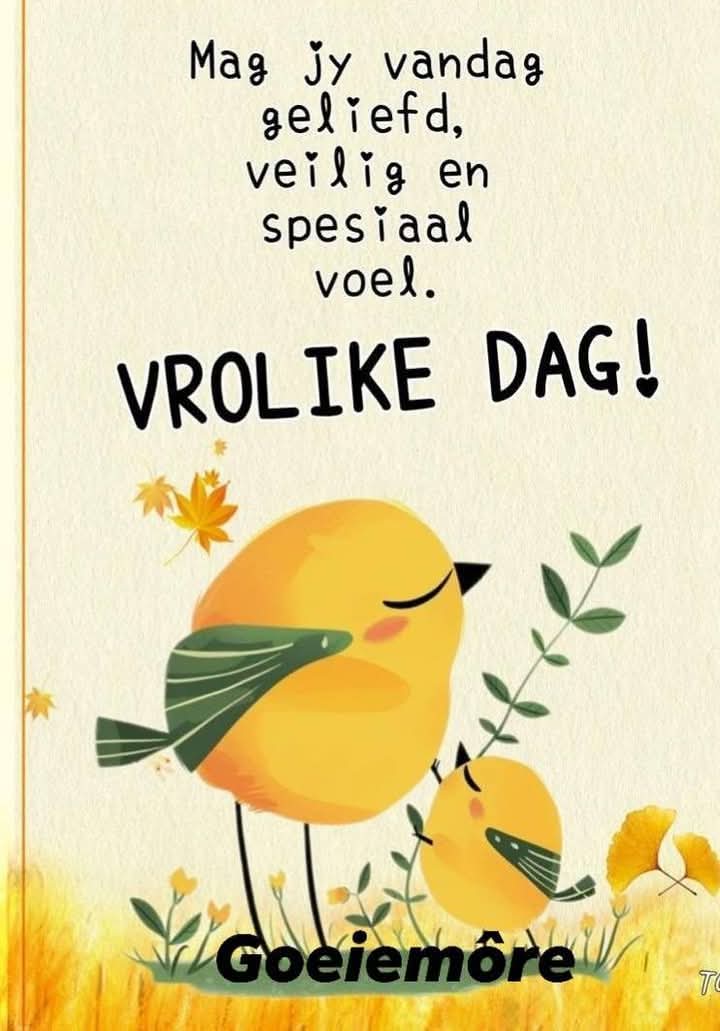 Môre sê aan jul almal.