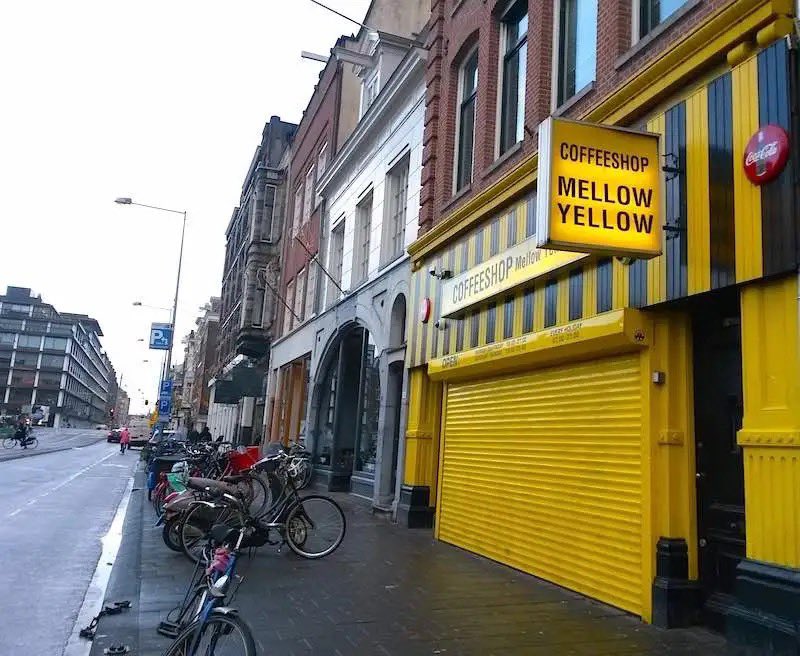 Amsterdam 

Coffeeshop Mellow Yellow