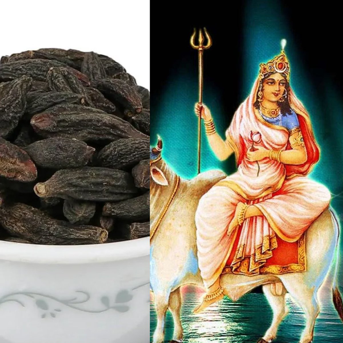 9 औषधियों के पेड़ पौधे जिन्हें नवदुर्गा कहा गया है आइए इनके बारे में जान लेते है 🧵 

1) प्रथम शैलपुत्री (हरड़) : कई प्रकार के रोगों में काम आने वाली औषधि हरड़ हिमावती है जो देवी शैलपुत्री का ही एक रूप है.यह आयुर्वेद की प्रधान औषधि है यह पथया, हरीतिका, अमृता, हेमवती, कायस्थ,