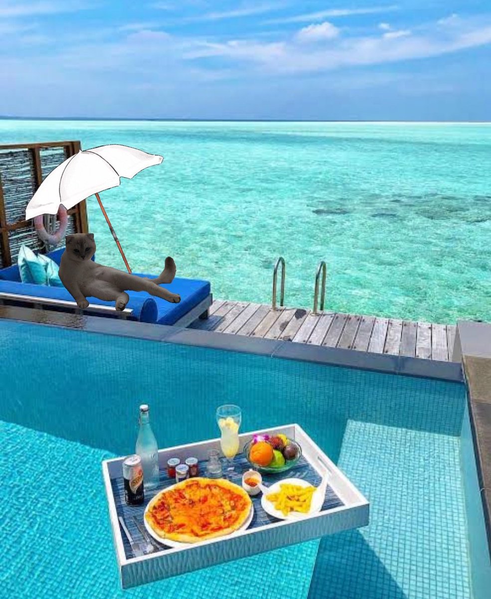 zalin kölesimdem kurdarılnışdır

<a href="/papyonGirgir/">papyon🤵🏻</a>