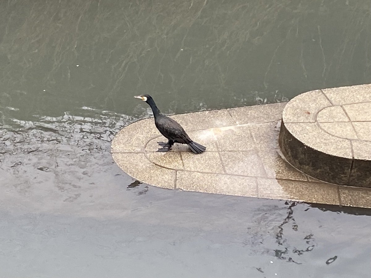 みちとのそうぐう