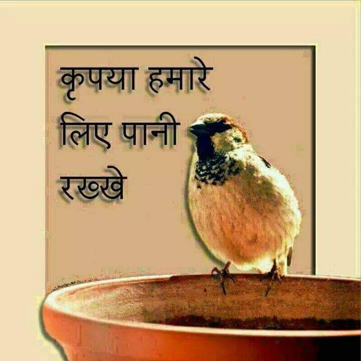 *हर इंसान का "चरित्र" उसकी जुबां के पीछे छिपा हुआ है, अगर उसे समझना है तो उसे बोलने दीजिए... 🏃🏻 चलते रहिए* 
|| सुप्रभात🌞 नमस्कार, वंदेमातरम् ||
🙏गर्मी आ गई है पक्षियों का ध्यान रखें 👇
#R_L_CHANDA_SIROLI