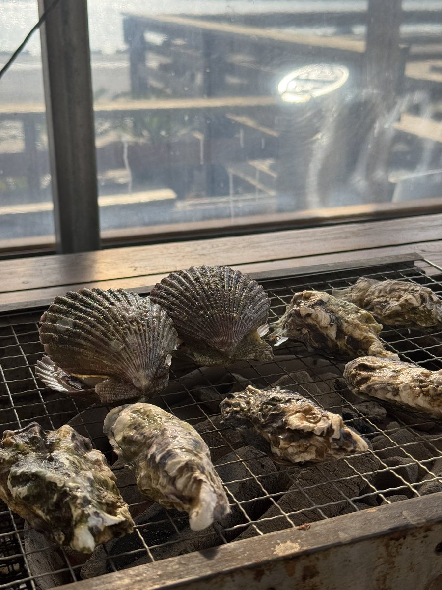 crazyauto43's tweet photo. 牡蠣小屋 https://t.co/KJrK3c3NmZ