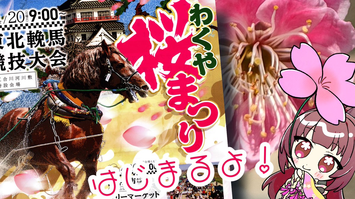 あまひら まろん。 (@amahira_marron) on Twitter photo 