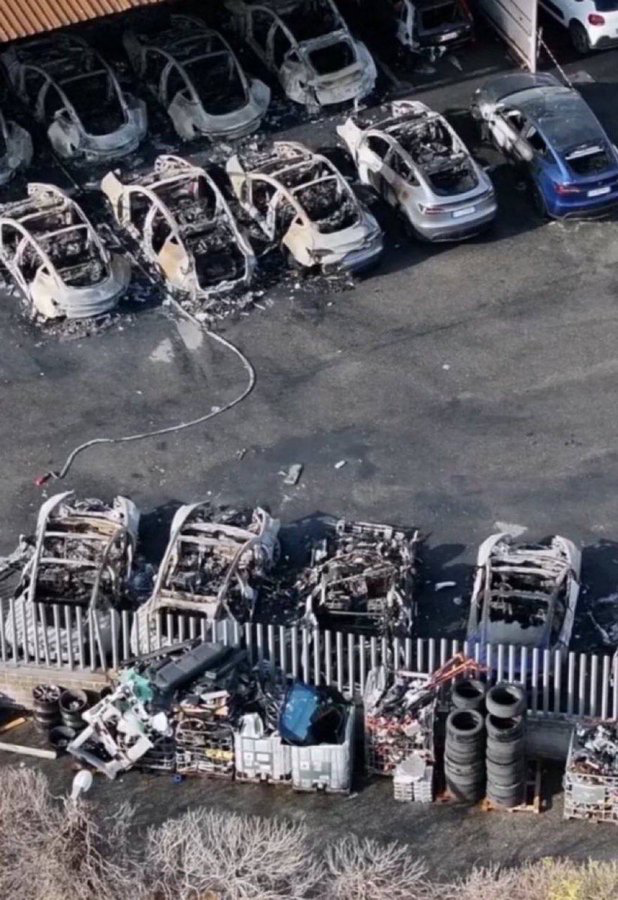 Anonymous tweet media