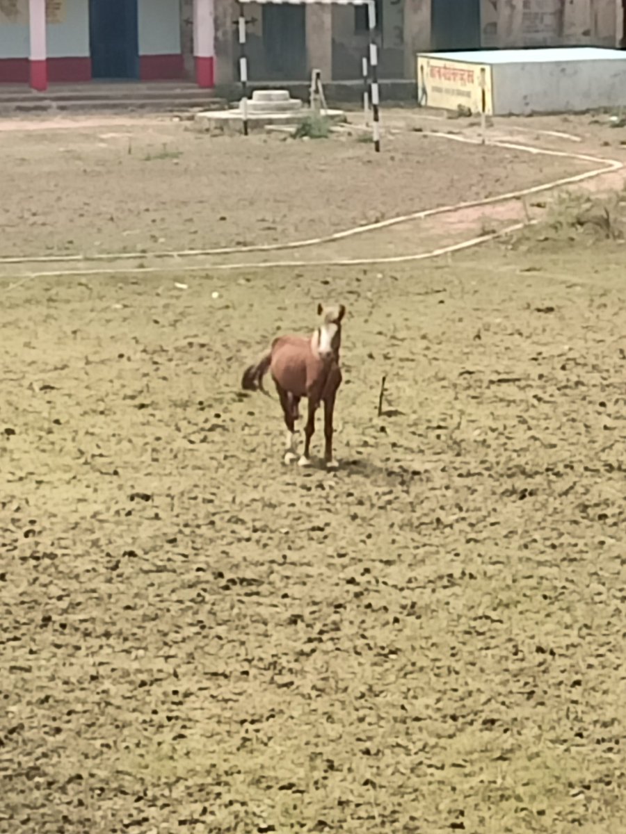 Bhodudk's tweet image. 