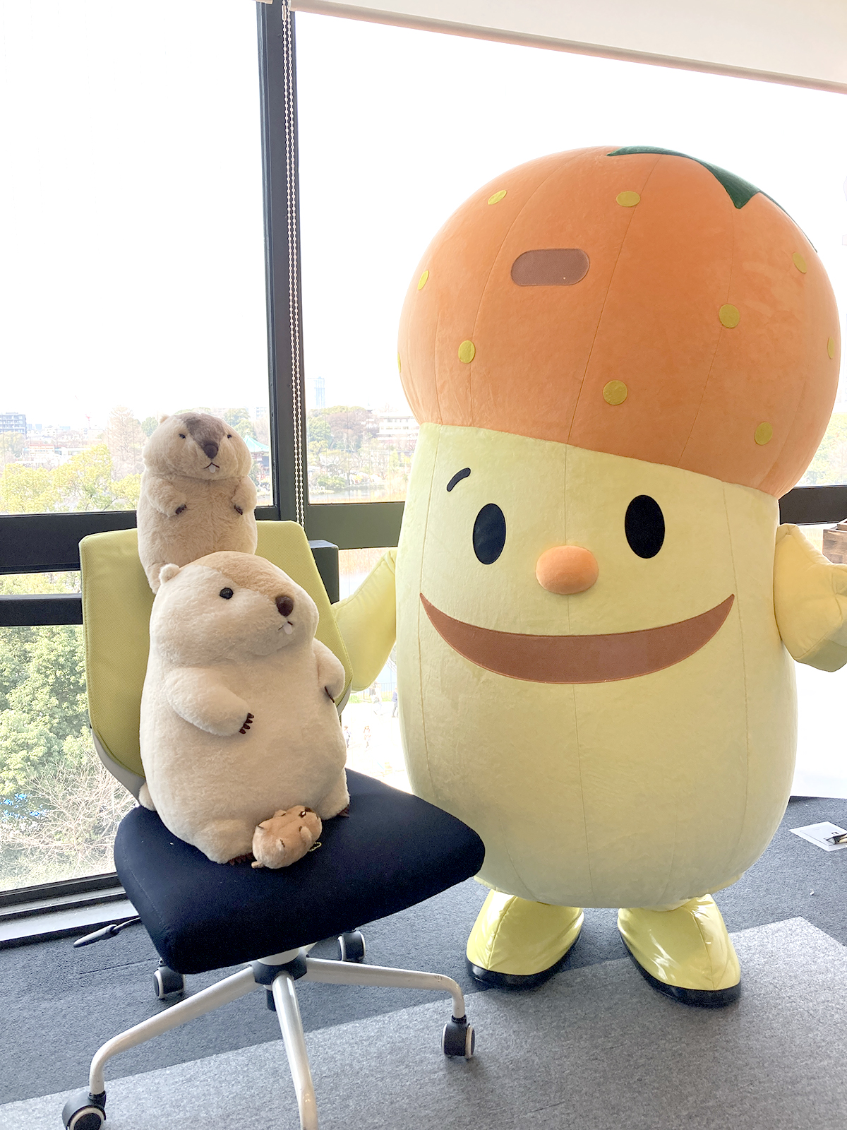6月中旬入荷予定】マーモットのもっとっとウルトラBIG /*Limited