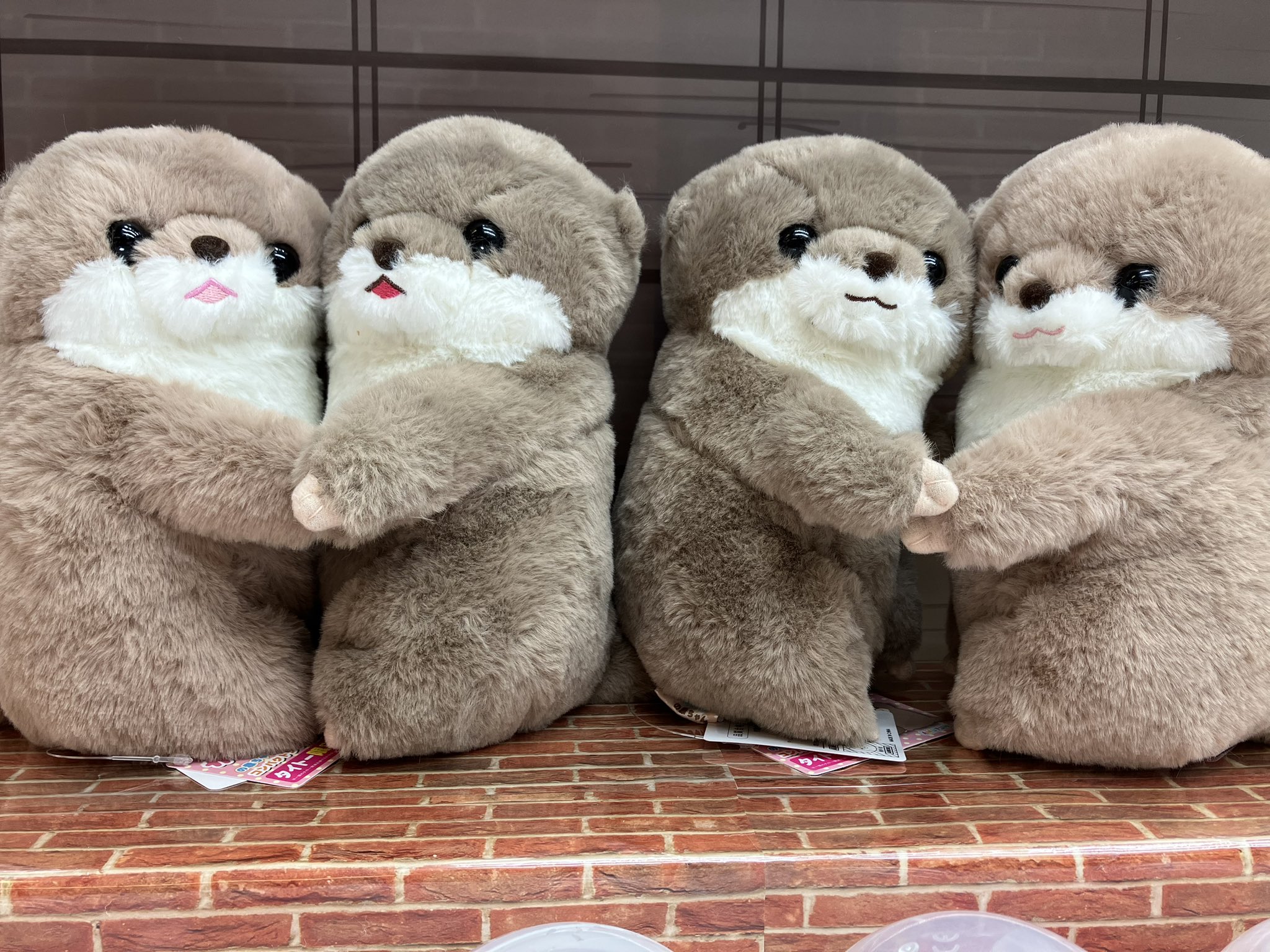 AMUSE くったりカワウソの赤ちゃんハグハグ かわうそ はぐはぐ 超BIG