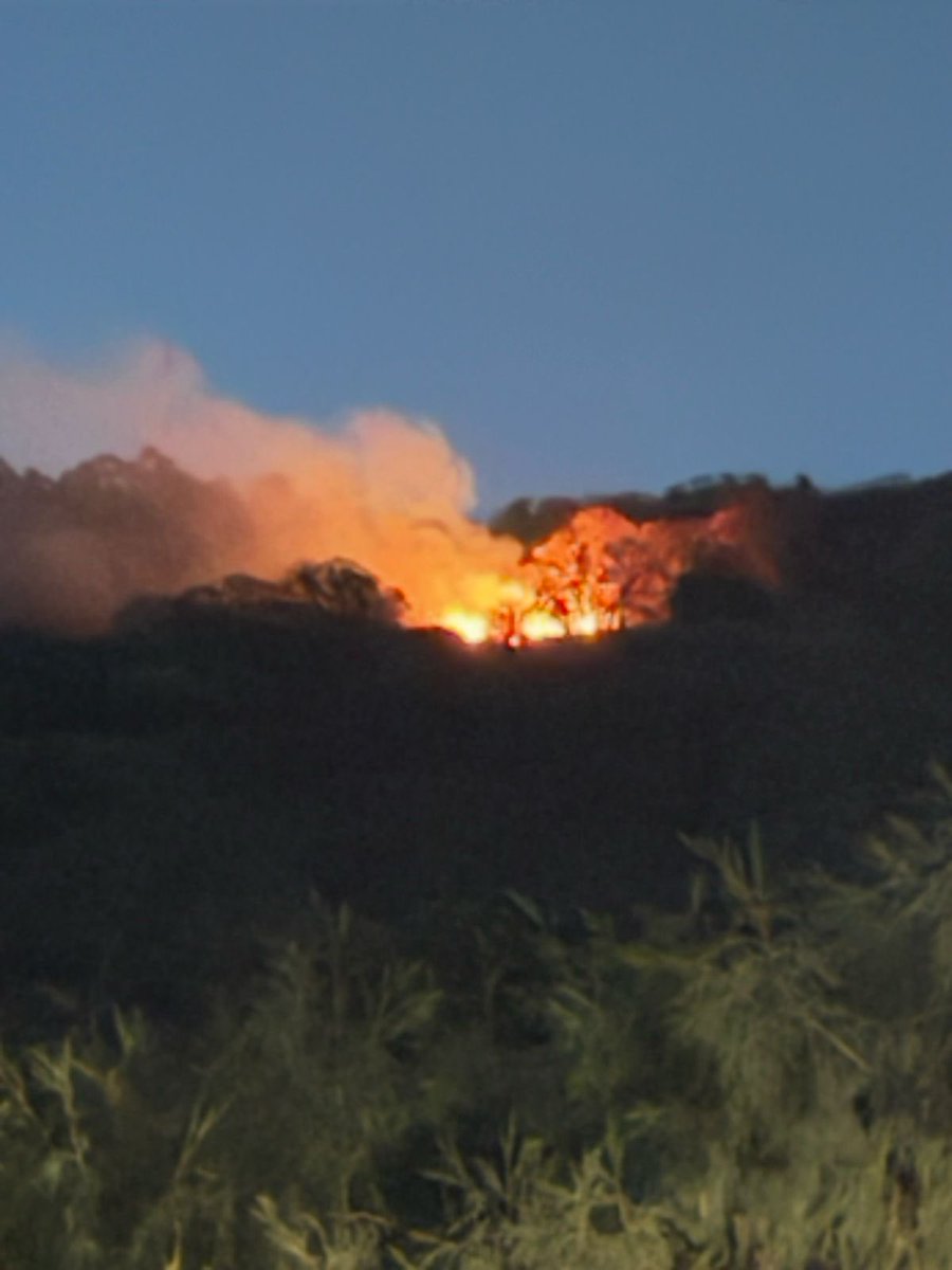 hectoranest's tweet photo. @911Puebla fuerte incendio en área protegida / bosque entre Haras ciudad ecológica y parque estatal flor del bosque!! Se extiende con rapidez!! Urgente!! https://t.co/YX2Tn8Qurq