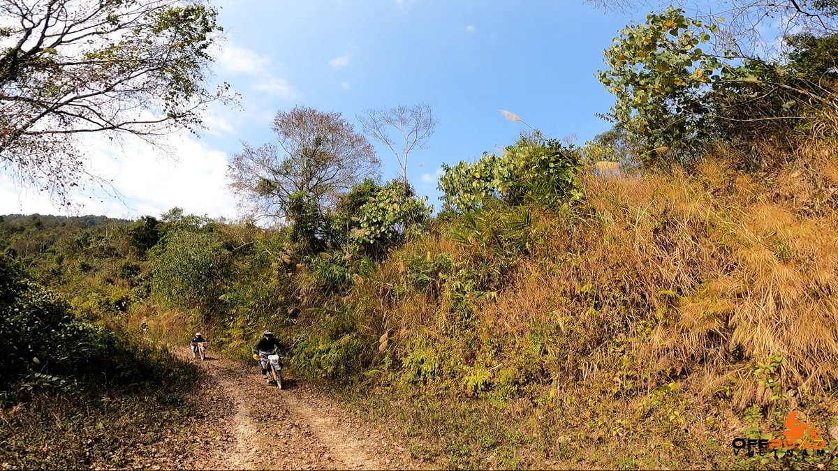 vietnambikers1's tweet photo. The charm of off-roading lies in the untouched beauty and the sense of discovery it offers. π
π₯οΈ https://t.co/PuBYXXe7g6
#withoutphysicalroads #theboundariesofimagination #noroadsnolimits #vietnam #xuhuong2025 #trending2025 #motorbike #motorcycle #tour #rental #honda #XR150L https://t.co/4mwkXJKBOQ