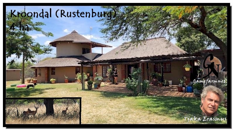 Gamefarmnet321's tweet photo. Commercial possibilities! R3,75m. 4 ha. Kroondal Residence &amp; 3 flats; Kampong &amp; Workshop. 10 impalas. Potential rental income R50 000+ per month.  100% off grid +Further  business opportunities  https://t.co/03EeIY1Yj5 

#gamefarmnet 
#farm4sale 
#gamefarm4sale 
#wildlife https://t.co/RLTUbMBroo