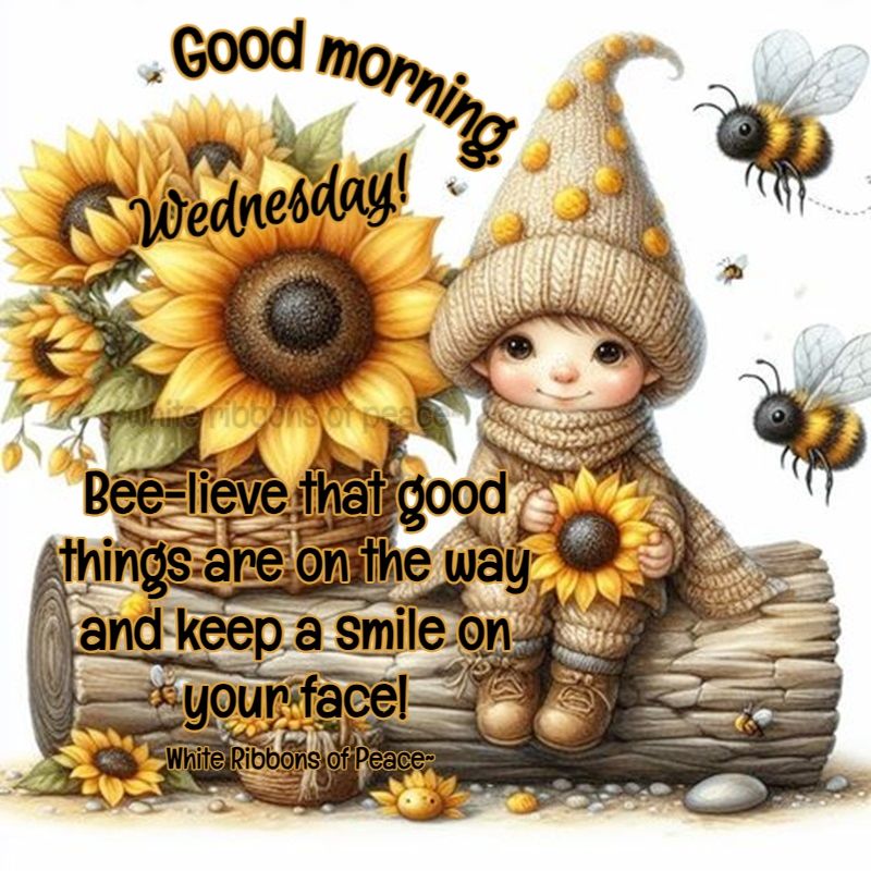 reddevil1975's tweet photo. Positive Post day 92 💛
Half way through another week again! 
Happy Wednesday my lovely friends I hope you all have a great day filled with Sunshine 🌞 and Smiles 😊 Take care hugs and love 😘 
#keepbeelieving #wevegotthis https://t.co/I0B6x0pCFv