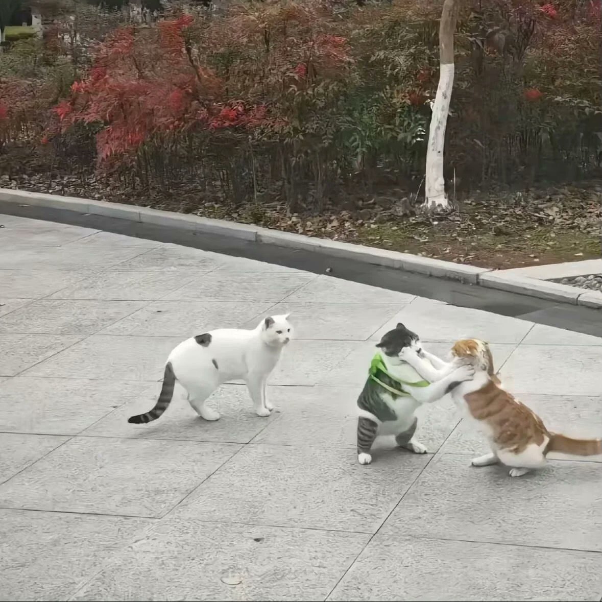 귀여운 가방 메고 어딜 가나요