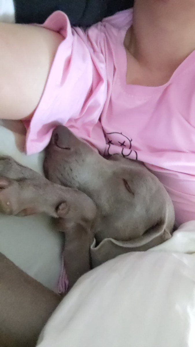 愛犬とツーショット