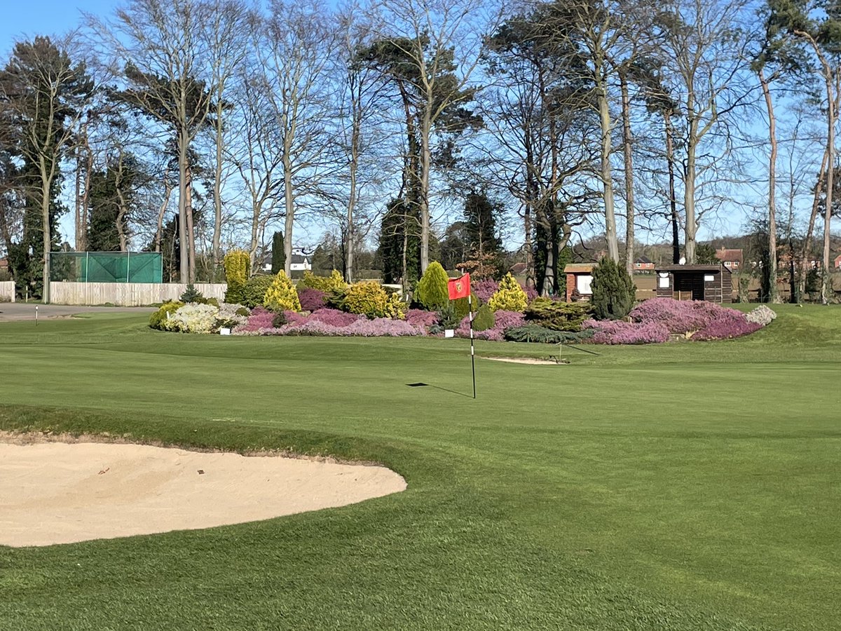 Malton & Norton GC tweet media