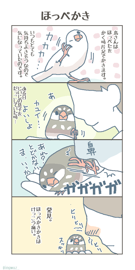 文鳥さんのゆるいまんがを描いています🐤🐤🐤

 #4月になったのでフォロワーさんに自己紹介しようぜ 