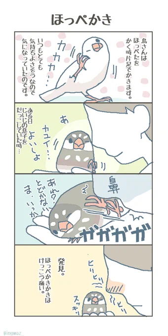 文鳥さんのゆるいまんがを描いています🐤🐤🐤

 #4月になったのでフォロワーさんに自己紹介しようぜ 