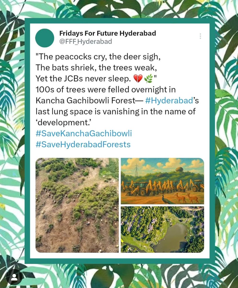 zakhiyapc's tweet photo. All of India must wake up to this hurried destruction of natural vegetation right in front of the urban eyes. If we fail to do so, it's a free pass to destroy everything that's prestine that's beyond our eyes. #indianwild #sindiancity #natureincity #SaveHCUBioDiversity https://t.co/TudhuaPkbl